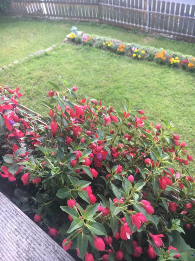 Ferienwohnung Renate 아르놀드슈타인 외부 사진